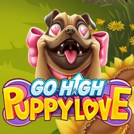 Try Go High Puppy Love slot by RubyPlay on rain-bet.eu – logo image