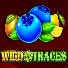 Wild Traces logo by Amusnet Interactive Rainbet Casino