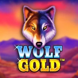Slots logo of Wolf Gold from Pragmatic Play at Rainbet Casino